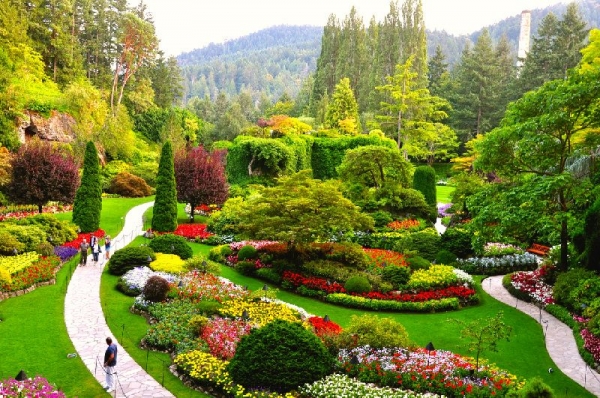 The Butchart Gardens & Victoria Butterfly Gardens Tour