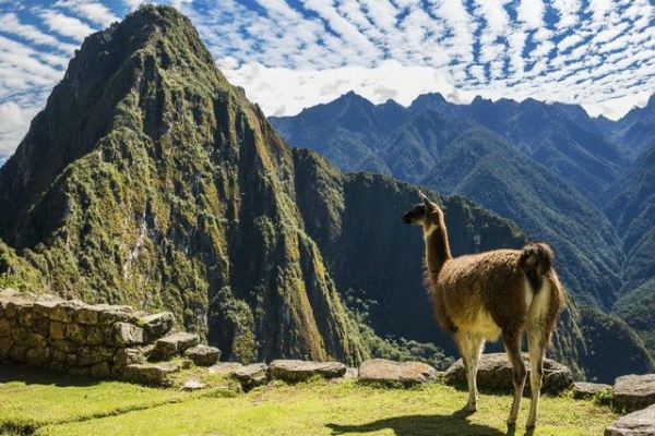 17-Day Maya and Inca Civilization Experience Tour