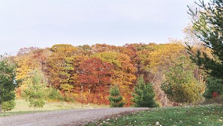 Fall Foliage Spectacular Tour