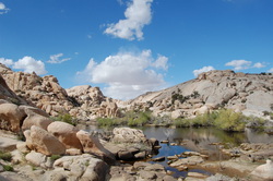 2-Days: Joshua Tree Adventure 