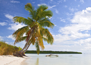 4-Day Miami Sunshine Tour with Key West and West Palm Beach