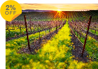 1-Day Napa Valley & Napa Premium Outlet Tour