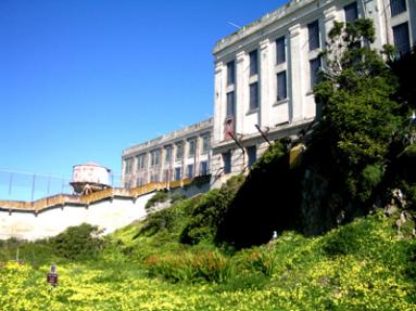 2-Days Wine Lovers Tour with Alcatraz