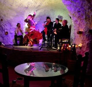 Flamenco Show with Dinner + Granada City Tour