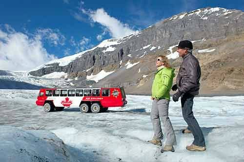 1-Day Icefields Parkway Discovery Tour