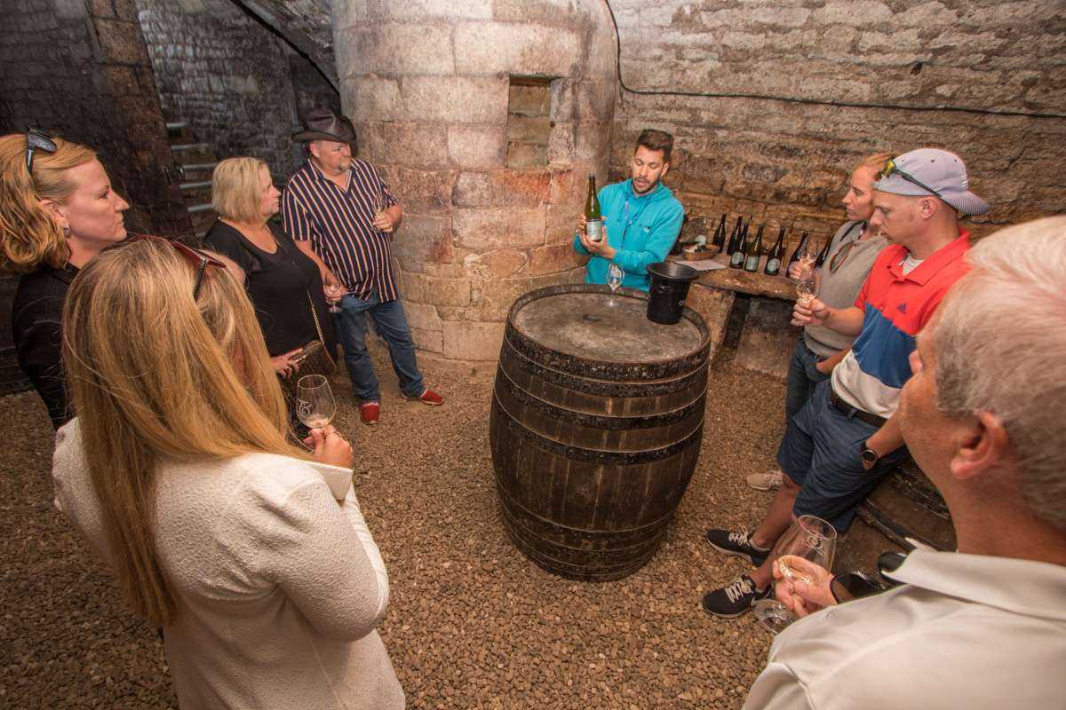 Burgundy Wine Tour from Paris