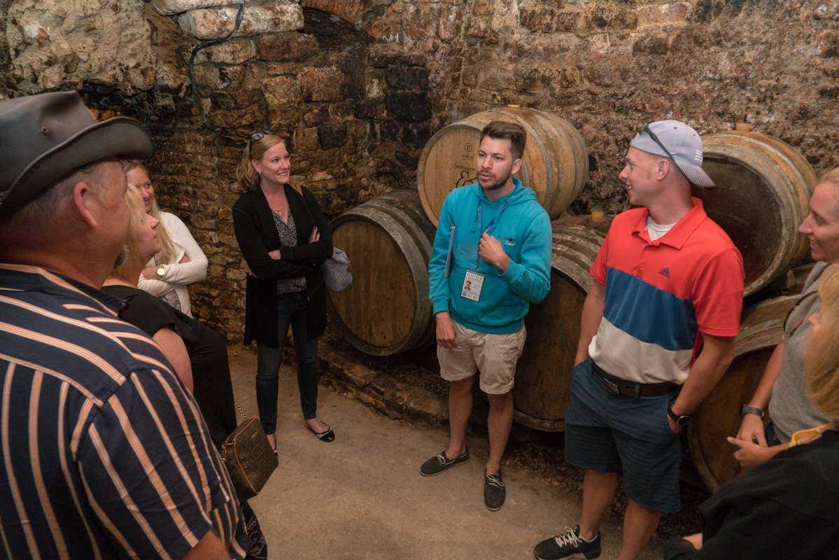 Burgundy Wine Tour from Paris