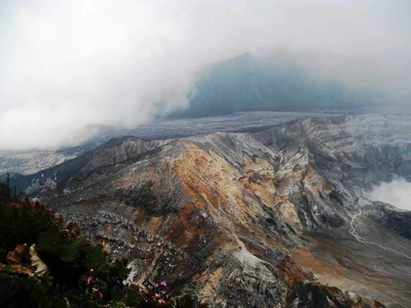 Poas Active Volcano Tour from San Jose
