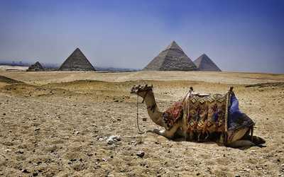 1-Day Tour to Pyramids and Citadel