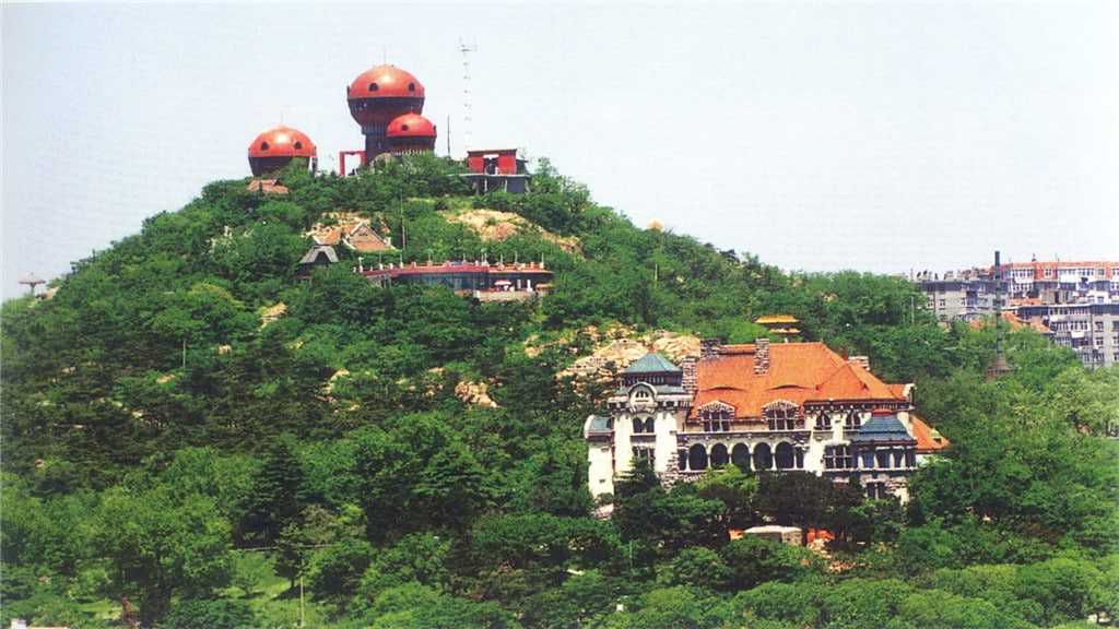青島+2