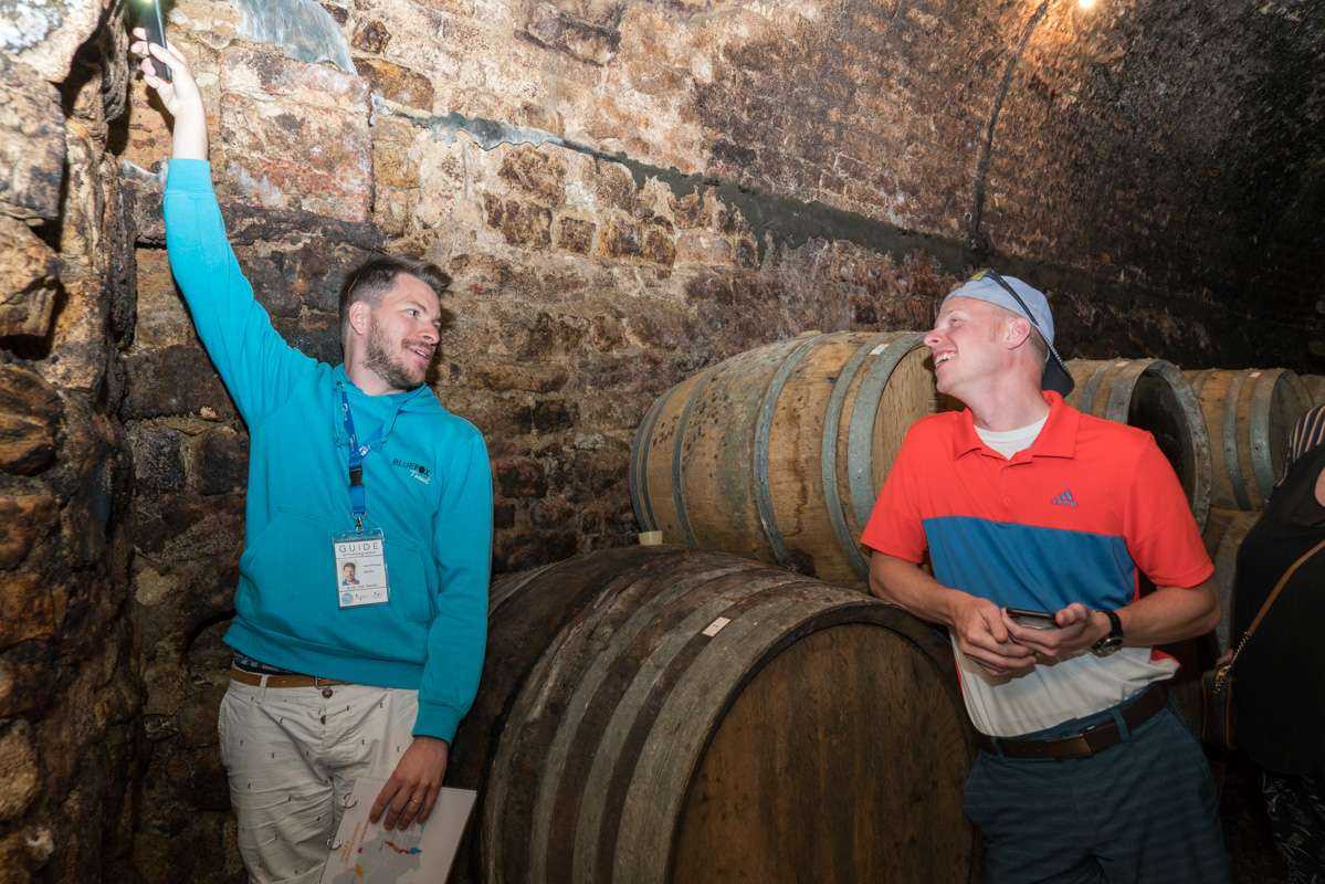 Burgundy Wine Tour from Paris