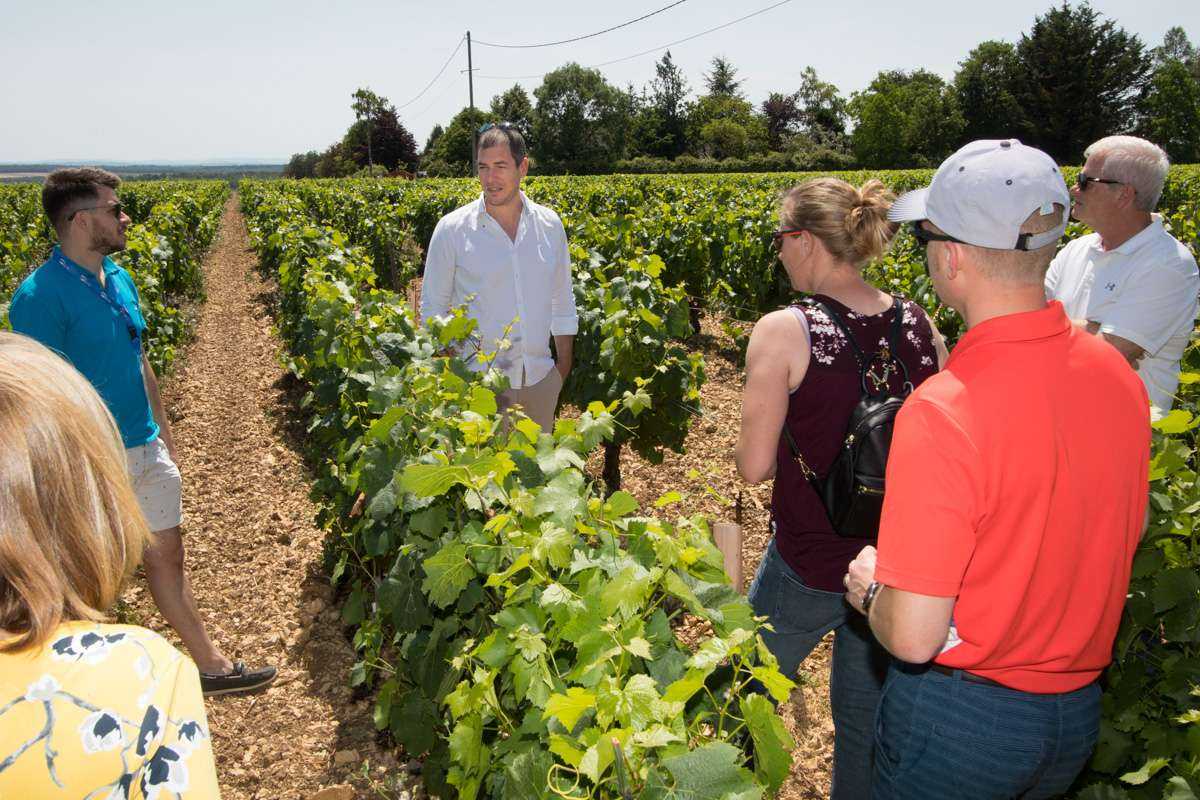 Burgundy Wine Tour from Paris