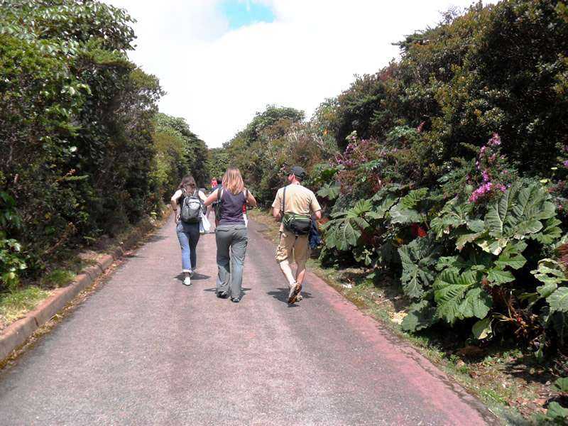 Poas Active Volcano Tour from San Jose