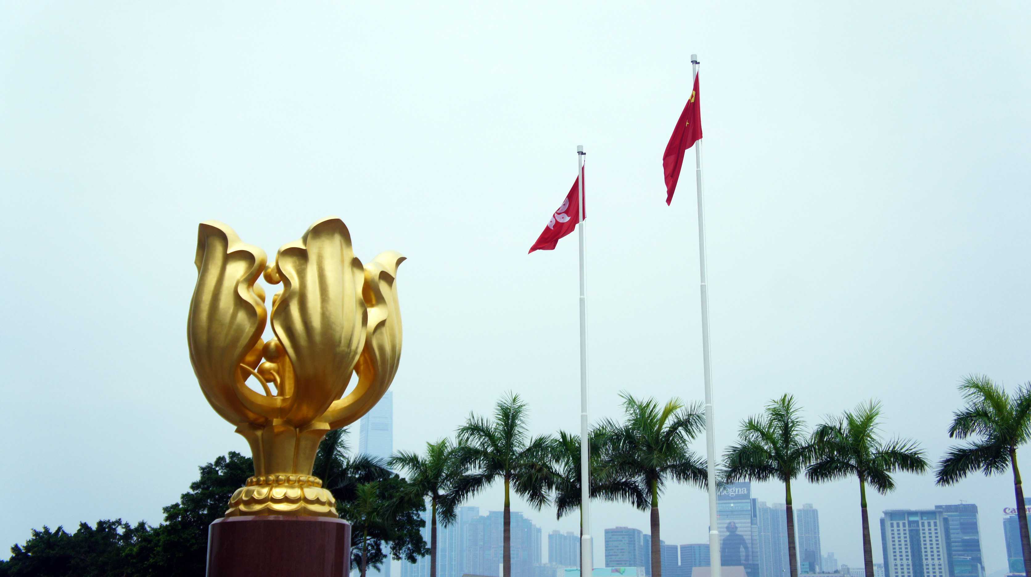 香港+11