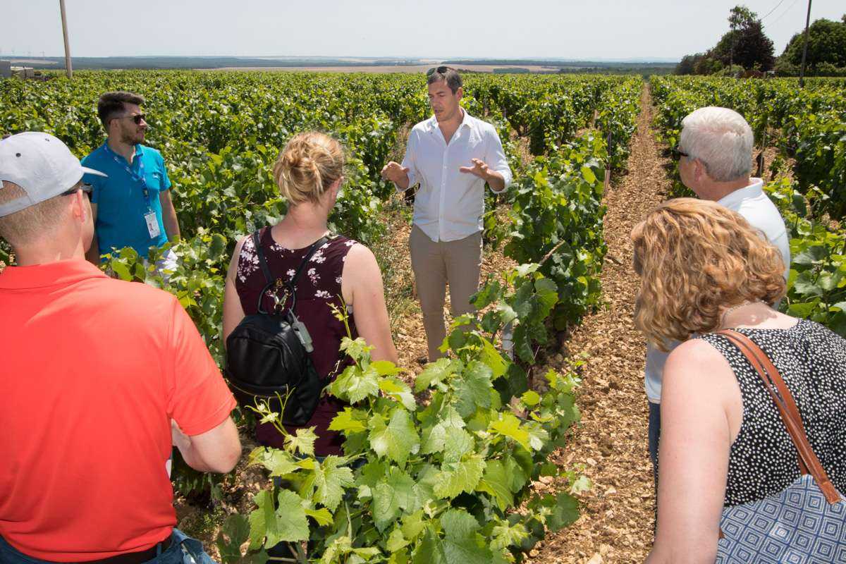 Burgundy Wine Tour from Paris