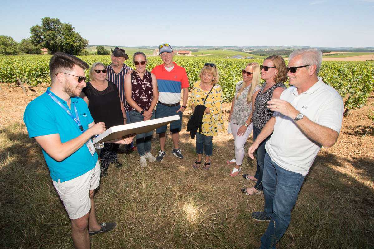 Burgundy Wine Tour from Paris