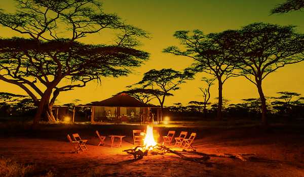 8-Day Expedition Safari of Northern Tanzania Tour from Arusha: Tarangire NP, Lake Manyara NP, Serengeti NP and Ngorongoro Conservation Area**Park Entrance Fee, Meals and Airport Transfer**