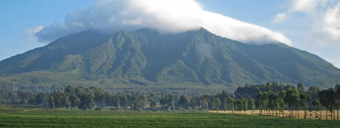 11 Days Uganda And Rwanda Private Safari Tour 