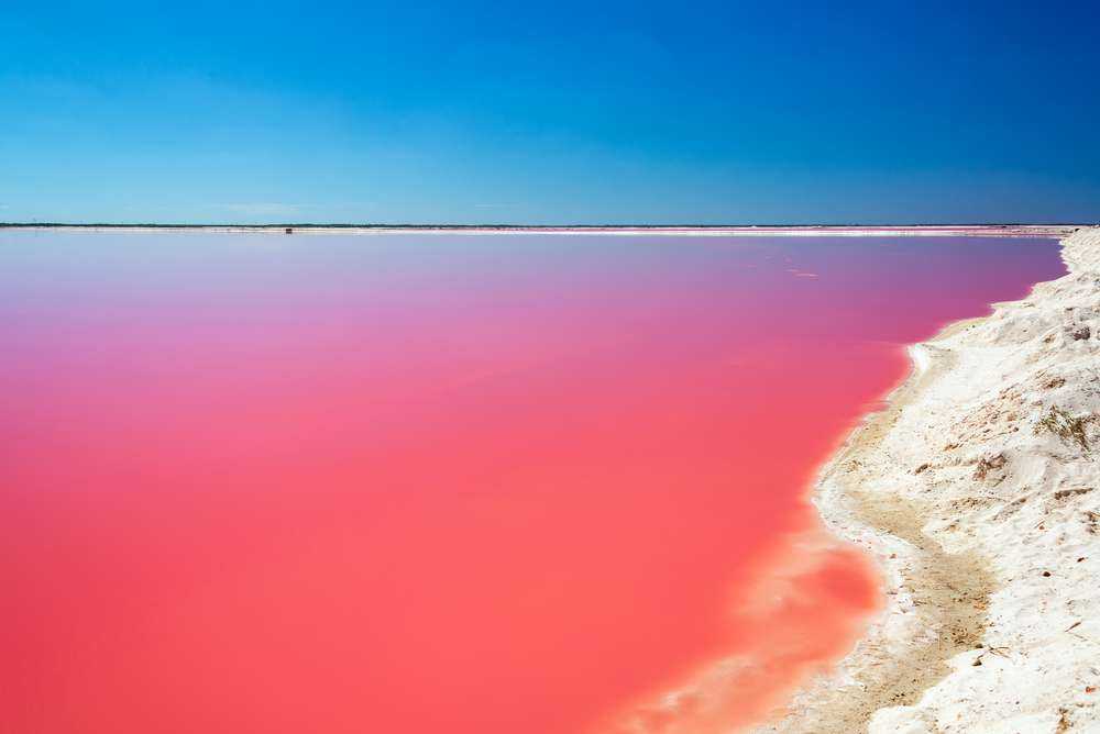 1 Day Las Coloradas Pink Lake and Cenote Tour