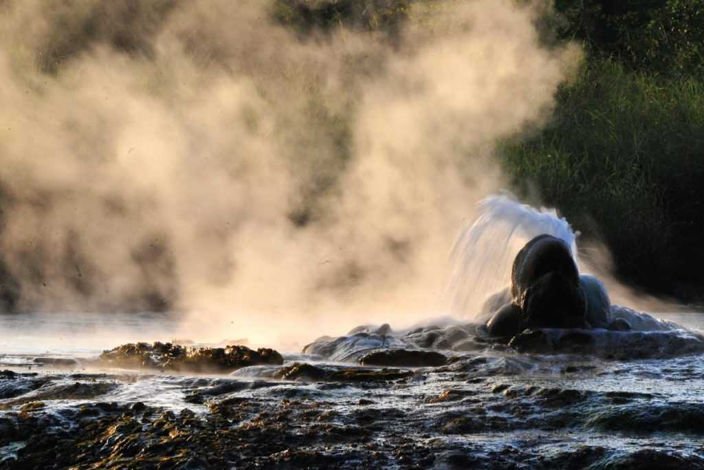 7 Days Murchison Falls, Semliki & Kibale Forest 